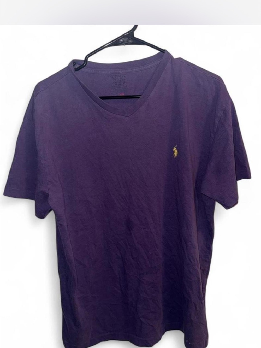 Polo by Ralph Lauren Men's V-Neck T-Shirt in Purple